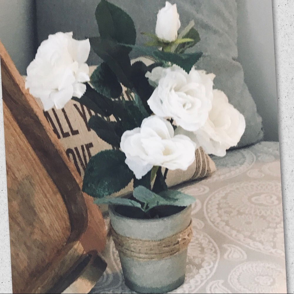 Precious White Rose Flower Pot